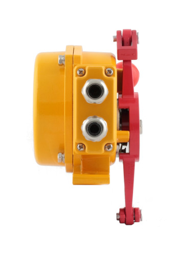 Датчик остановки конвейера INNOLEVEL в алюм. корпусе, -40...+75С, 250 VAC, 10 A, IP65, 2 релейных выхода — фото-628_4